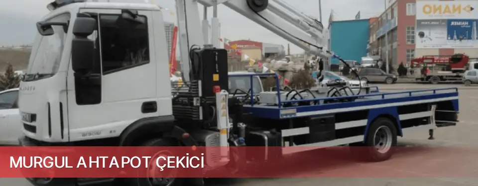 Murgul İlçemi Ahtapot Çekici