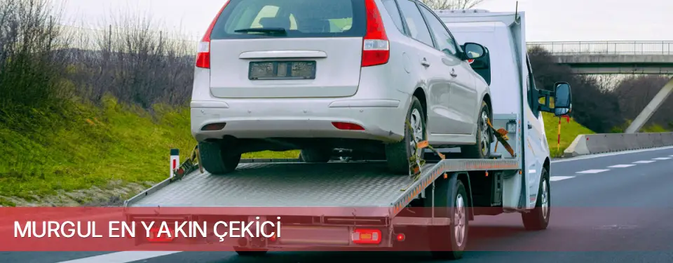 Murgul İlçemi En Yakın Çekici