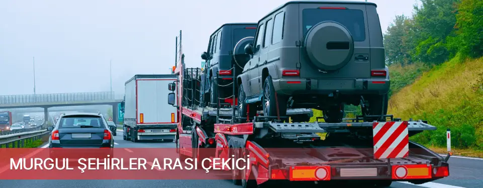 Murgul İlçemi Şehirler Arası Çekici