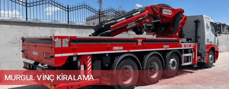 Murgul İlçemi Vinç Kiralama